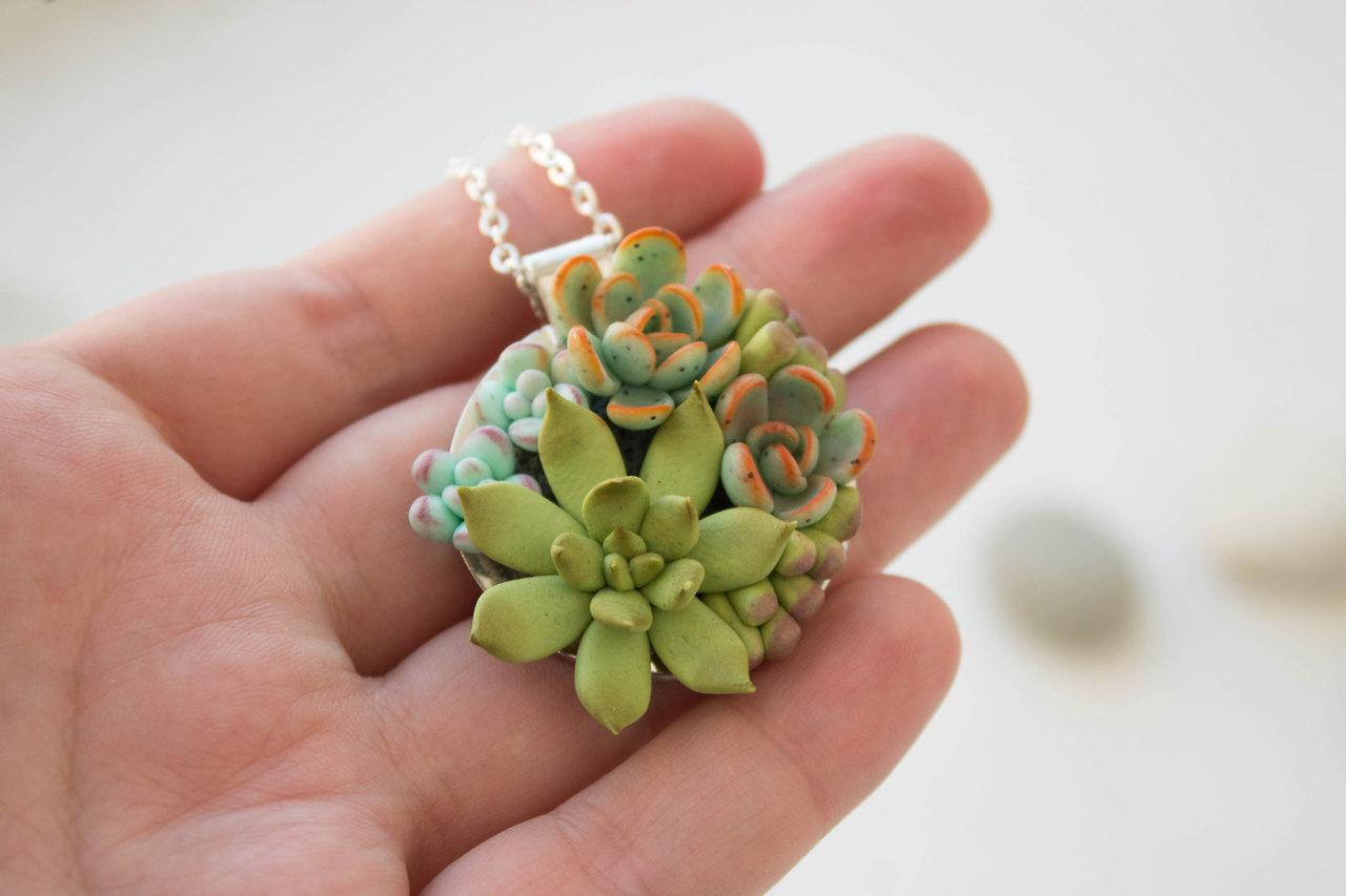 Succulents and Cacti in Jewelry, Hair Accessories and Decor - YouLoveIt.com