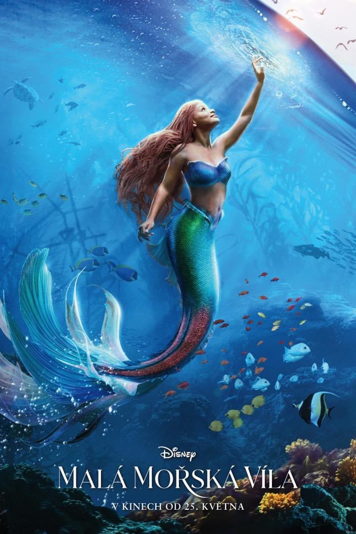 Disney The Little Mermaid Live Action movie 2023: story, cast, release  date, photos, trailers, posters and more 