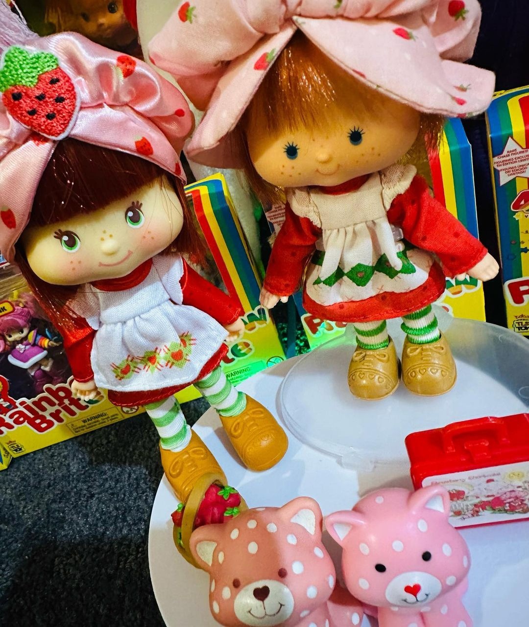 New Strawberry Shortcake fashion dolls 2024 