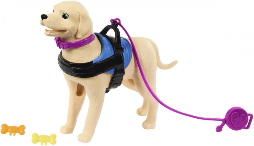 Barbie Doll & Playset with Service Dog