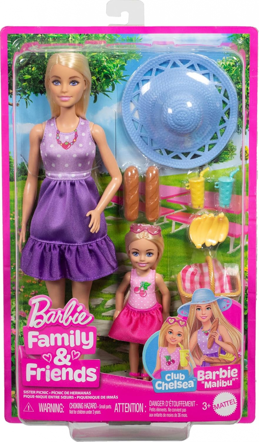 Barbie Family and Friends Picnic set with Chelsea