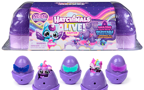 Hatchimals Alive Neon Rainbow Midnight Carton