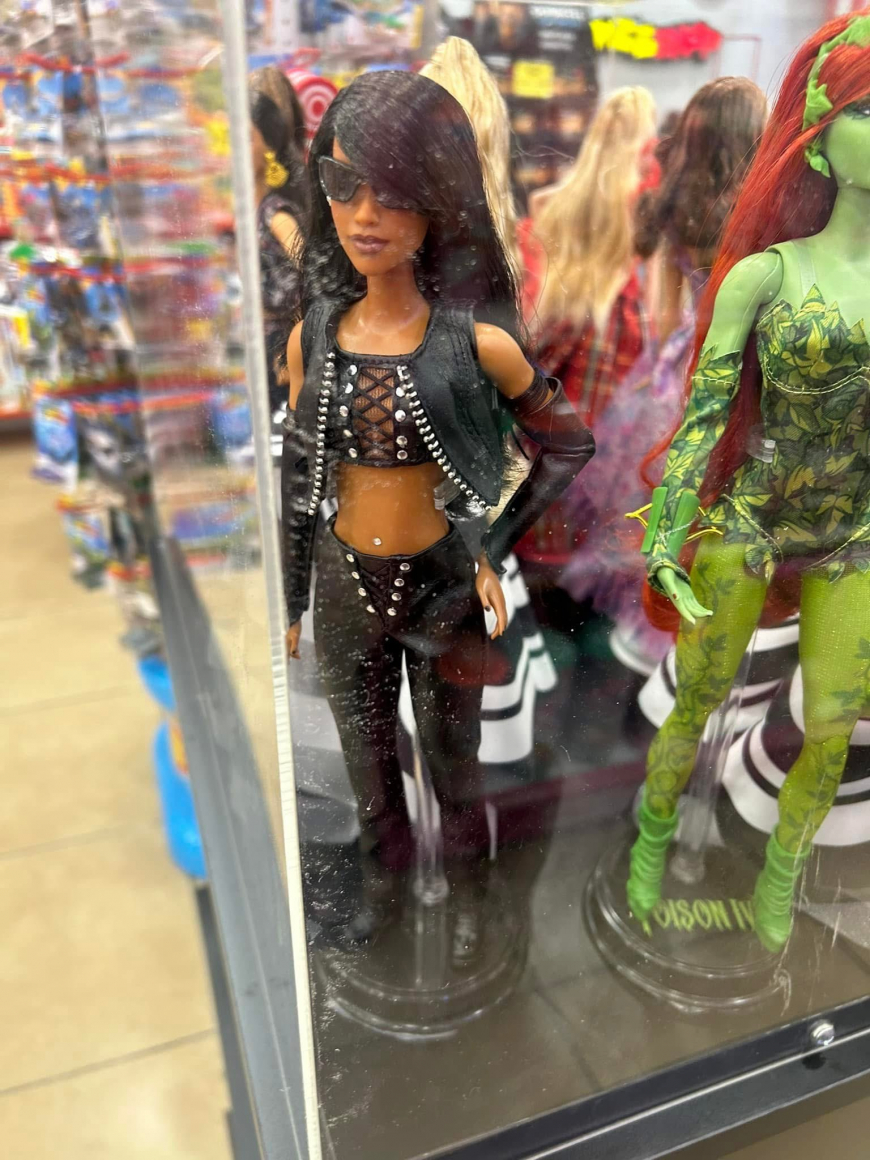 Barbie Aaliyah doll irl