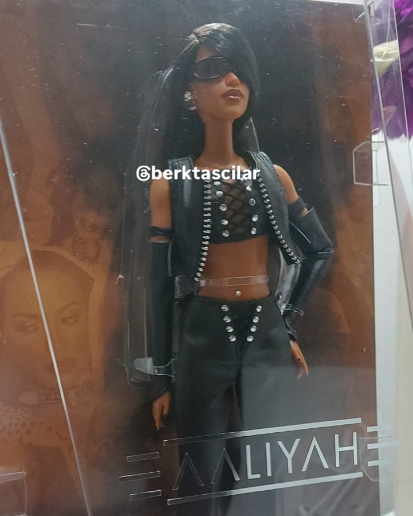 Barbie Signature Aaliyah doll in real life photos